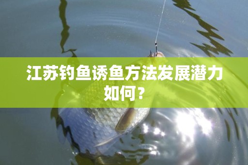 江苏钓鱼诱鱼方法发展潜力如何？