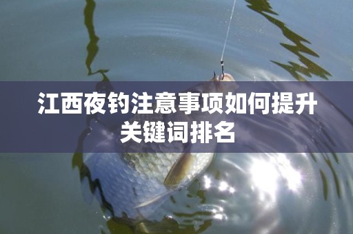 江西夜钓注意事项如何提升关键词排名