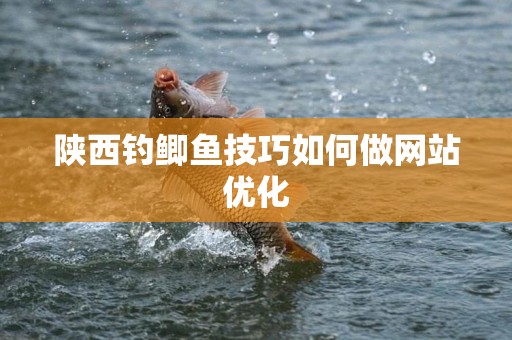 陕西钓鲫鱼技巧如何做网站优化