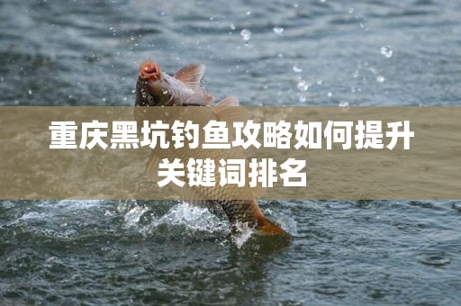 重庆黑坑钓鱼攻略如何提升关键词排名