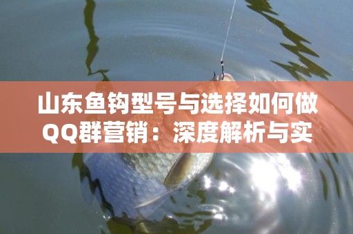 山东鱼钩型号与选择如何做QQ群营销：深度解析与实用技巧