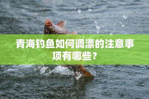 青海钓鱼如何调漂的注意事项有哪些？