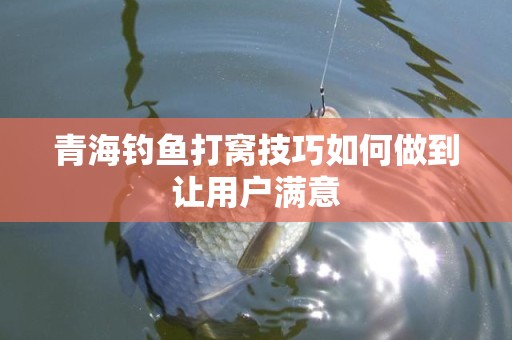 青海钓鱼打窝技巧如何做到让用户满意
