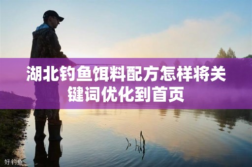 湖北钓鱼饵料配方怎样将关键词优化到首页