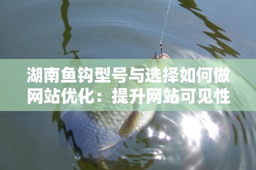 湖南鱼钩型号与选择如何做网站优化：提升网站可见性与用户体验的策略