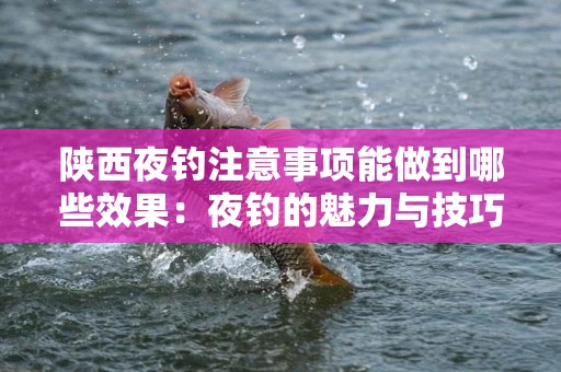 陕西夜钓注意事项能做到哪些效果：夜钓的魅力与技巧