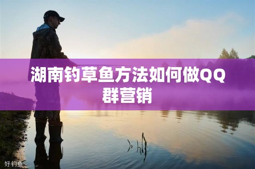 湖南钓草鱼方法如何做QQ群营销