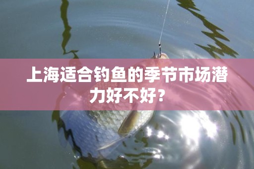 上海适合钓鱼的季节市场潜力好不好？