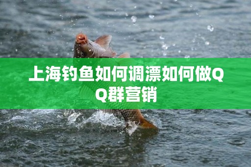 上海钓鱼如何调漂如何做QQ群营销
