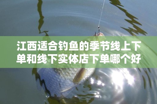 江西适合钓鱼的季节线上下单和线下实体店下单哪个好？