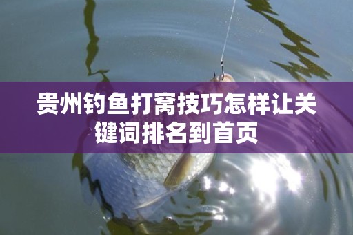 贵州钓鱼打窝技巧怎样让关键词排名到首页