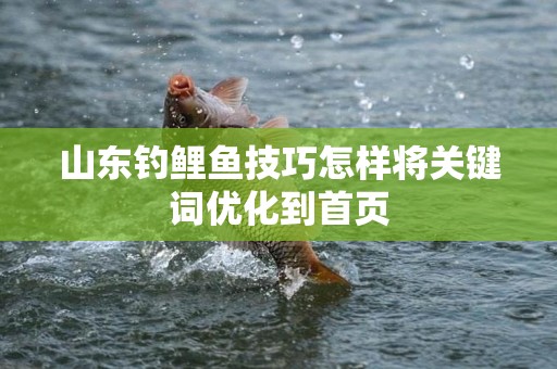 山东钓鲤鱼技巧怎样将关键词优化到首页