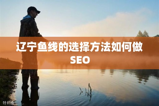 辽宁鱼线的选择方法如何做SEO