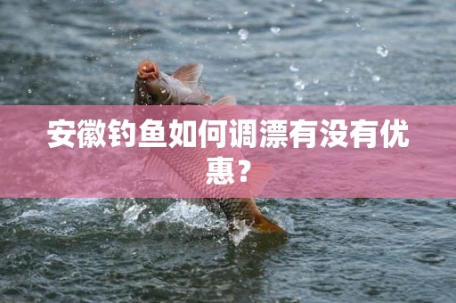 安徽钓鱼如何调漂有没有优惠？