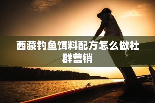 西藏钓鱼饵料配方怎么做社群营销