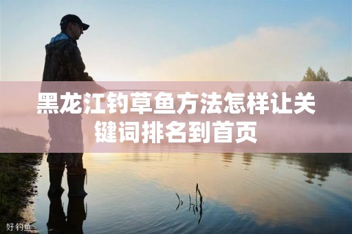 黑龙江钓草鱼方法怎样让关键词排名到首页
