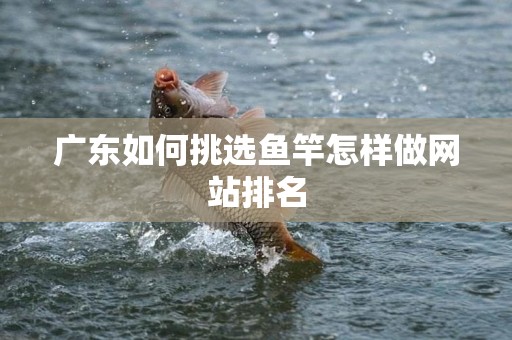 广东如何挑选鱼竿怎样做网站排名