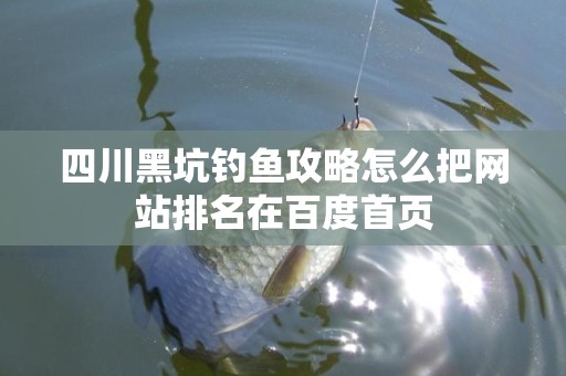四川黑坑钓鱼攻略怎么把网站排名在百度首页