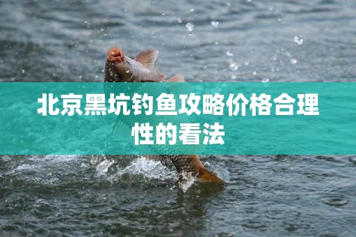 北京黑坑钓鱼攻略价格合理性的看法