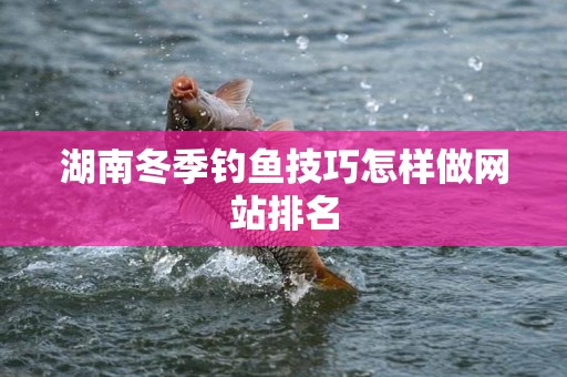 湖南冬季钓鱼技巧怎样做网站排名