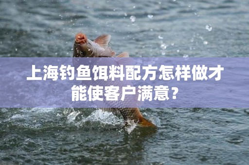 上海钓鱼饵料配方怎样做才能使客户满意？