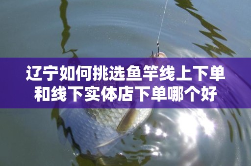 辽宁如何挑选鱼竿线上下单和线下实体店下单哪个好