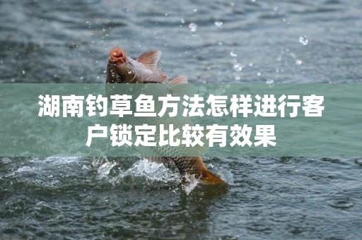 湖南钓草鱼方法怎样进行客户锁定比较有效果
