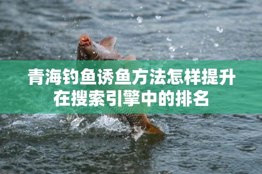 青海钓鱼诱鱼方法怎样提升在搜索引擎中的排名