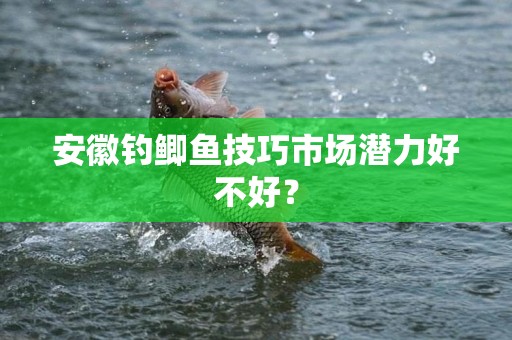 安徽钓鲫鱼技巧市场潜力好不好？