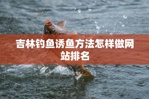 吉林钓鱼诱鱼方法怎样做网站排名