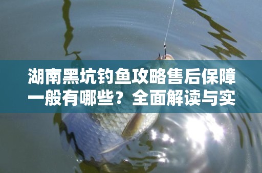 湖南黑坑钓鱼攻略售后保障一般有哪些？全面解读与实用建议