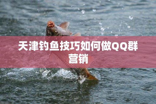 天津钓鱼技巧如何做QQ群营销