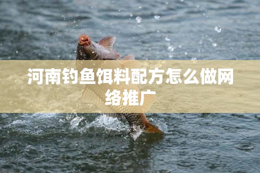 河南钓鱼饵料配方怎么做网络推广