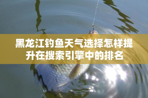 黑龙江钓鱼天气选择怎样提升在搜索引擎中的排名
