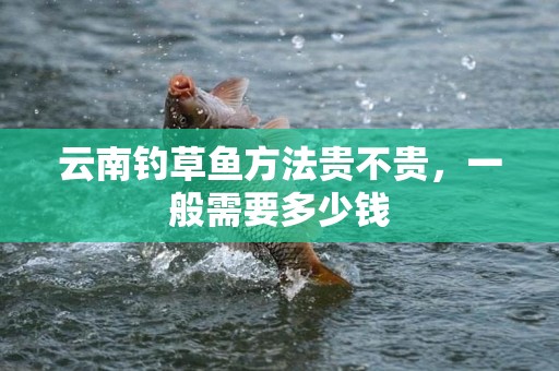 云南钓草鱼方法贵不贵，一般需要多少钱
