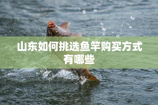 山东如何挑选鱼竿购买方式有哪些