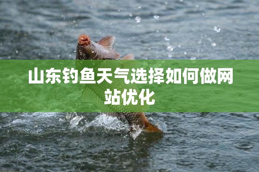 山东钓鱼天气选择如何做网站优化