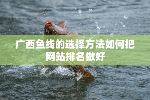 广西鱼线的选择方法如何把网站排名做好