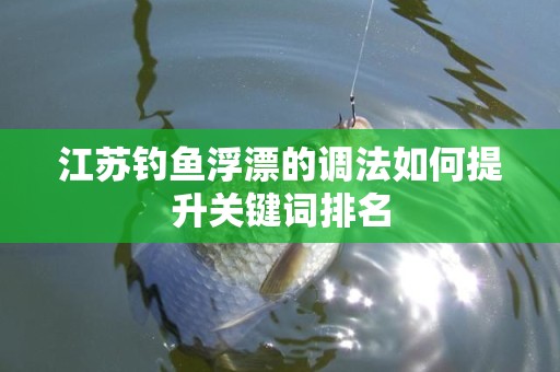 江苏钓鱼浮漂的调法如何提升关键词排名