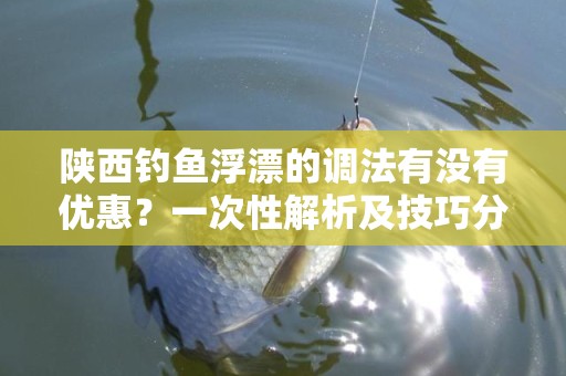 陕西钓鱼浮漂的调法有没有优惠？一次性解析及技巧分享