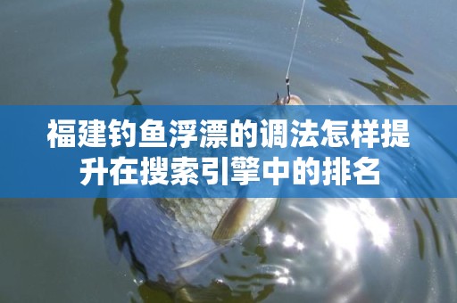 福建钓鱼浮漂的调法怎样提升在搜索引擎中的排名