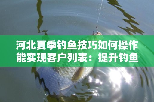 河北夏季钓鱼技巧如何操作能实现客户列表：提升钓鱼体验与业务潜力