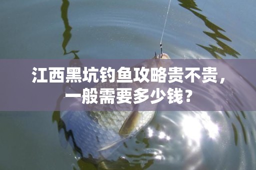 江西黑坑钓鱼攻略贵不贵，一般需要多少钱？