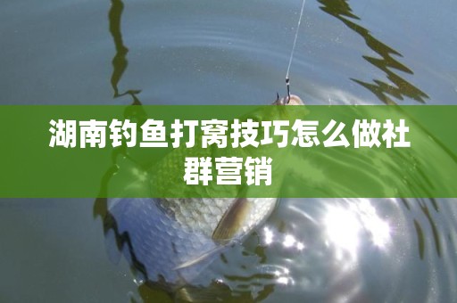 湖南钓鱼打窝技巧怎么做社群营销