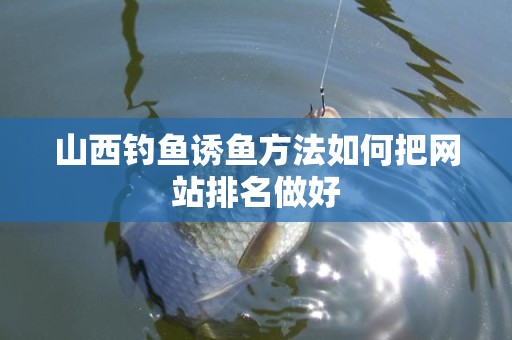 山西钓鱼诱鱼方法如何把网站排名做好