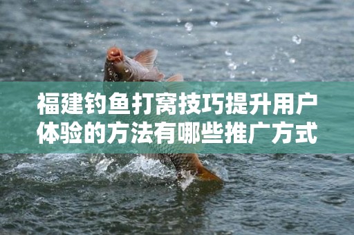 福建钓鱼打窝技巧提升用户体验的方法有哪些推广方式有哪些