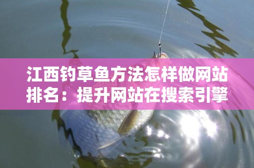 江西钓草鱼方法怎样做网站排名：提升网站在搜索引擎中的曝光率