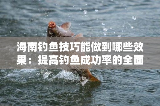 海南钓鱼技巧能做到哪些效果：提高钓鱼成功率的全面指南