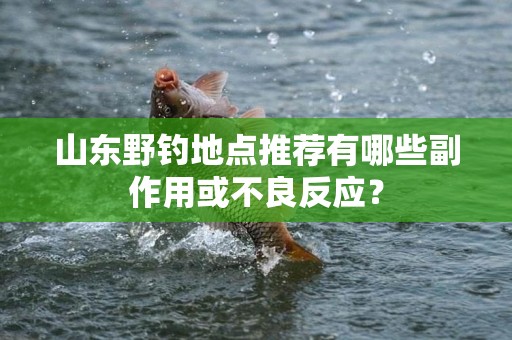 山东野钓地点推荐有哪些副作用或不良反应？