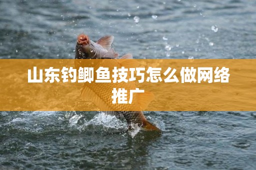 山东钓鲫鱼技巧怎么做网络推广